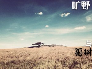旷野与孤树